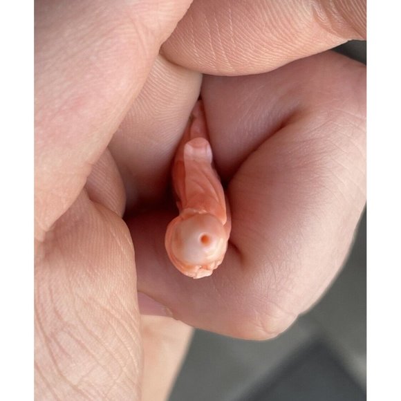 1 9/16" RARE Antique Chinese Hand Carved Coral God Shou Lao Immortal Asian Art - Picture 10 of 12